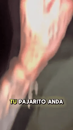 NITRIC SNAP ORIGINAL – RECUPERA TU PODER MASCULINO