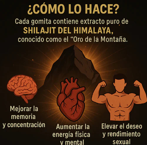 GOMAS SHILAJIT 60 CÁPSULAS – ENERGÍA Y RESISTENCIA | ¡OFERTA LIMITADA!